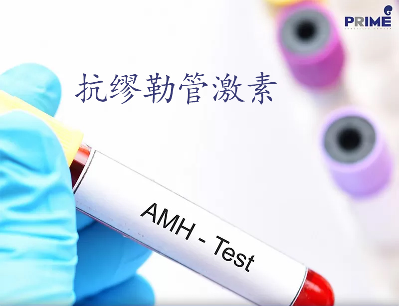 如何投放借卵试管婴儿，借卵试管婴儿精子筛选