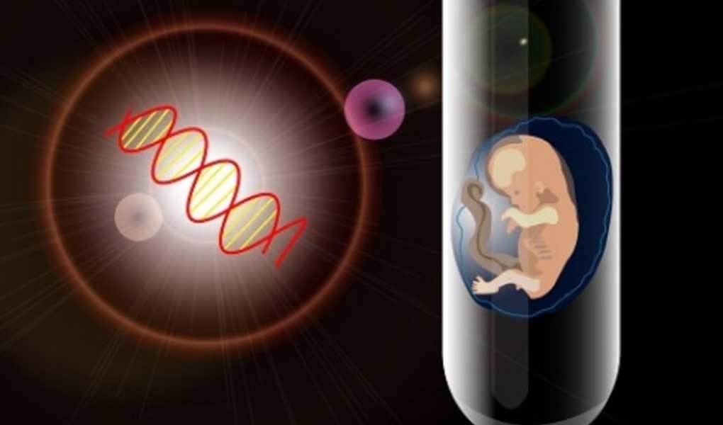 精子质量差的男性可以通过惠州赠卵试管婴儿实现生育吗？