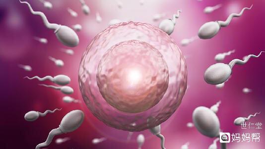 精子质量差的男性可以通过惠州赠卵试管婴儿实现生育吗？