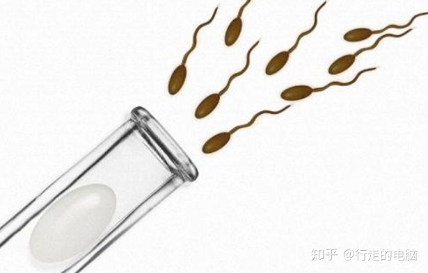 什么是最好的方法，请假做供卵试管婴儿？,供卵试管婴儿,成功案