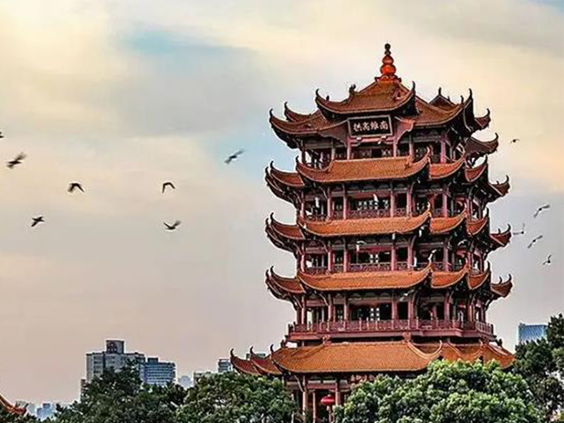 做借卵试管婴儿需要多少天？我必须要离开我的工作吗？
