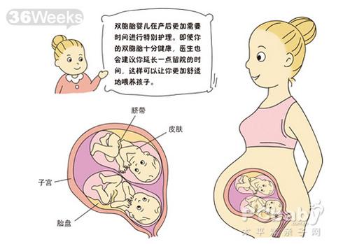 借卵自怀借卵试管取卵后的卵巢支持