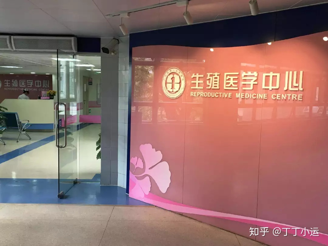一站式供卵试管公立文件，小改变大方便!