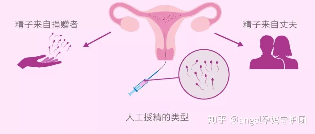 南宁新生儿落户勿超期办理!错过时间须提供亲子鉴定