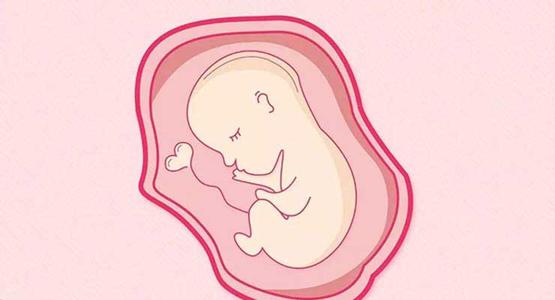 广州州中医院可以做供卵试管婴儿吗