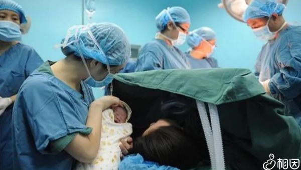 广州哪家医院可以做供卵试管婴儿