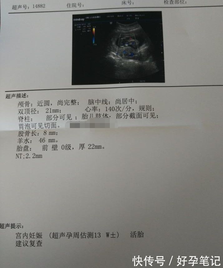 单身国外供卵试管婴儿怎么上户口