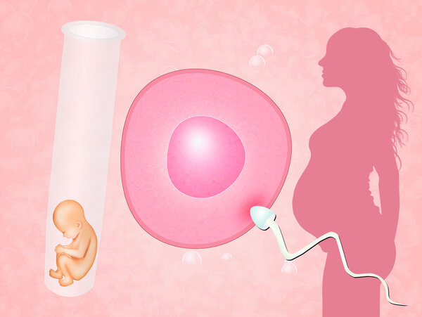 没结婚证做供卵试管婴儿违法吗