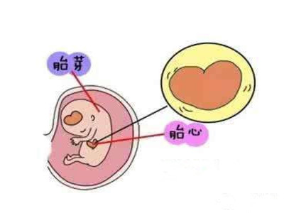 染色体正常试管成功率高吗