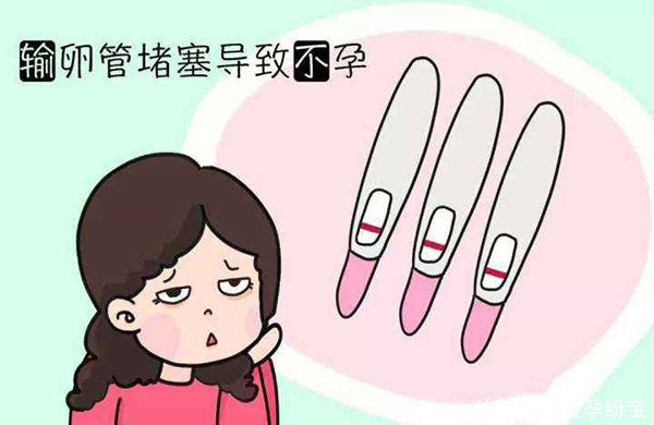 试管婴儿养成囊胚几天的最好