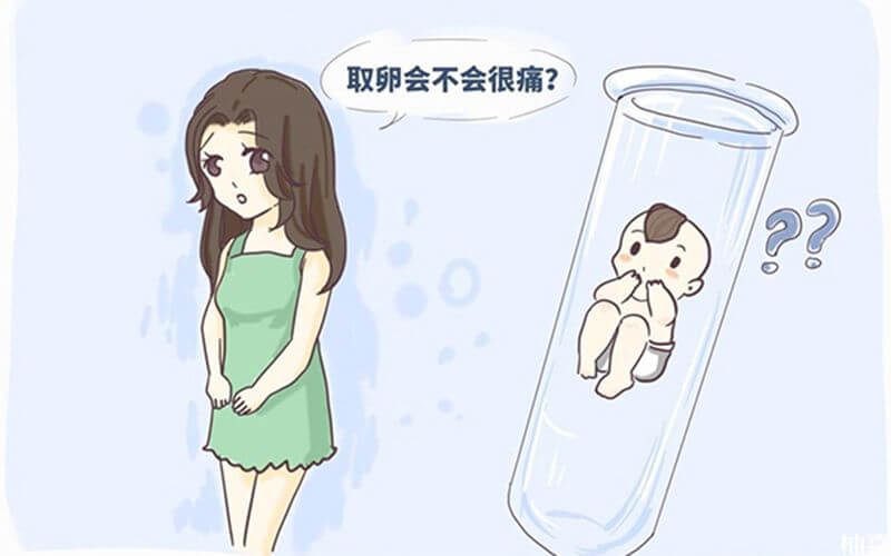 多囊性卵巢,多囊卵巢是由什么因素引起的+