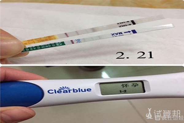 借卵试管生子有孕妈的遗传基因吗？是自己的孩子吗？
