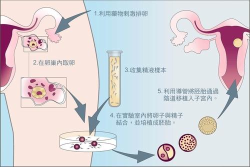 国内有哪些代怀机构多少钱啊