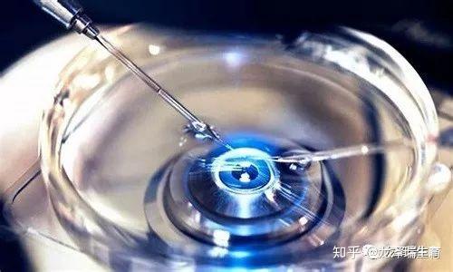 试管混血宝宝多少钱（混血专业代怀孕价格多少钱）