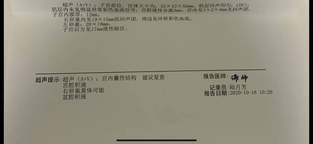 代生小男孩里胚胎碎片是什么呢