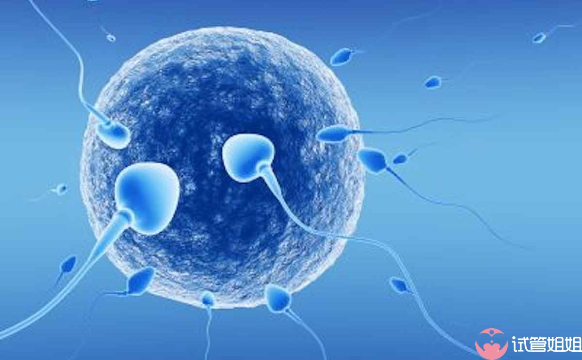 24岁代生孩子微信会不会太早（做试管代怀有什么影响的最佳年纪是多少科普文）
