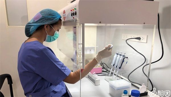 广州供卵哪里可以代生机构费用