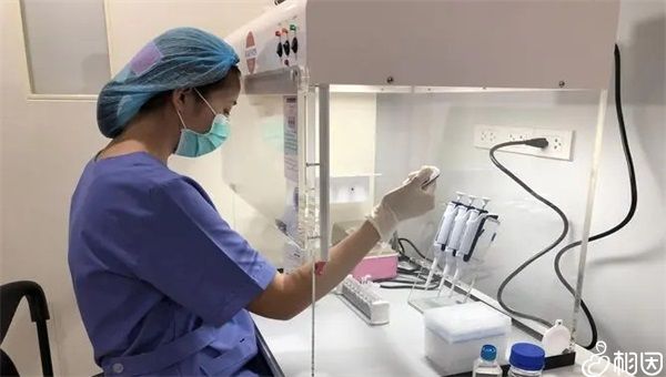 查卵泡刺激素需要空腹抽血吗（性激素六项检查需要空腹吗）