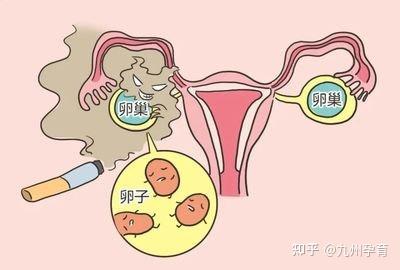 试管代生龙凤胎针对以上原因的不孕症治疗都有着高成功率,
